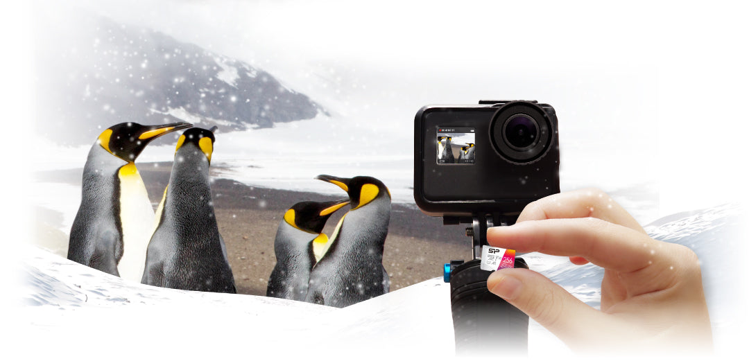 Silicon Power Elite 64GB microSDXC UHS-I Micro SD Card with Adapter