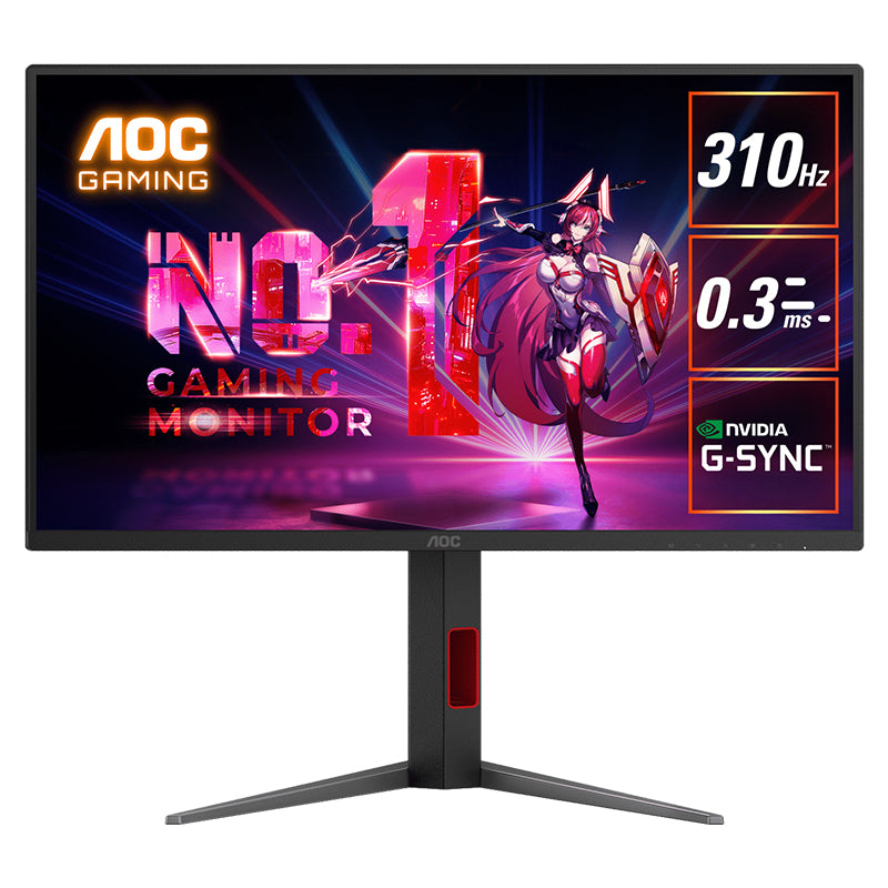 AOC 24.5in FHD 310Hz Fast IPS G-Sync Compatible Gaming Monitor