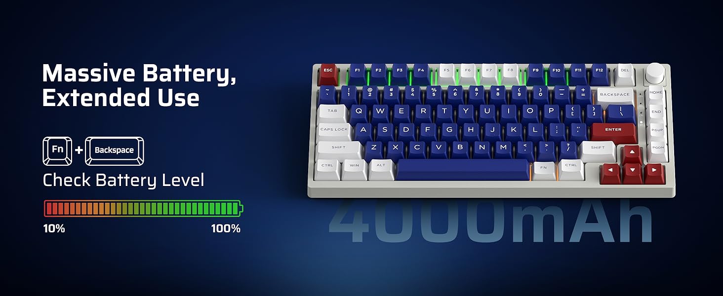 LTC Nimbleback NB831 Wireless 75% 3 Mode BT5.0/2.4Ghz/USB-C Wired 81 Keys RGB PBT Keycaps Hot Swappable Mechanical Keyboard, Mecha Blue