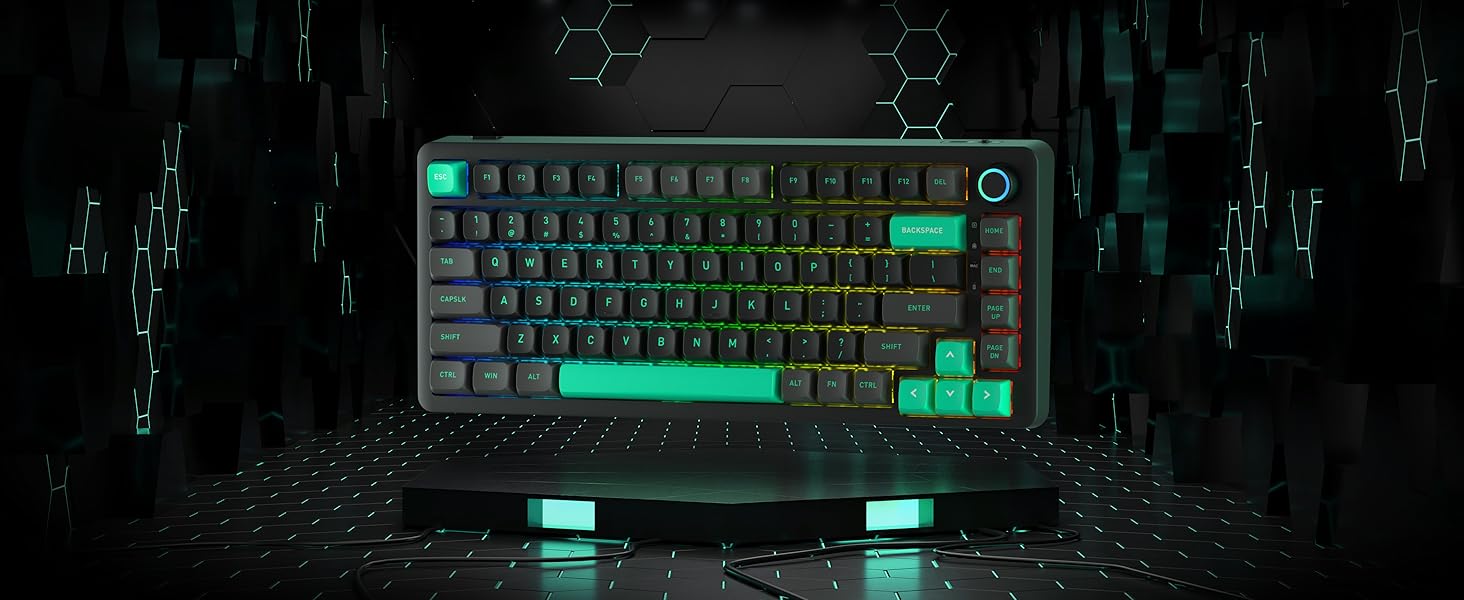 LTC Nimbleback NB832 Wireless 75% Gasket BT5.0/2.4G/USB-C Wired Hot Swappable 82-Keys RGB Gaming Mechanical Keyboard , Custom Linear Switch