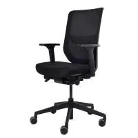 Ergotron Task Chair Adjustable Seat 410mm to 520mm 5-star Base High with Arm Rest Graphite Black