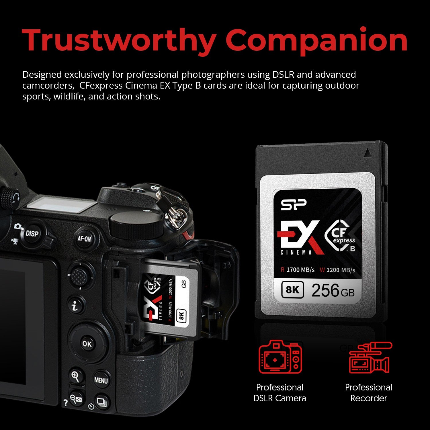 Silicon Power 256GB Cinema EX CFexpress 2.0 Type B 8K RAW R/W speed 1700/1200MB/s