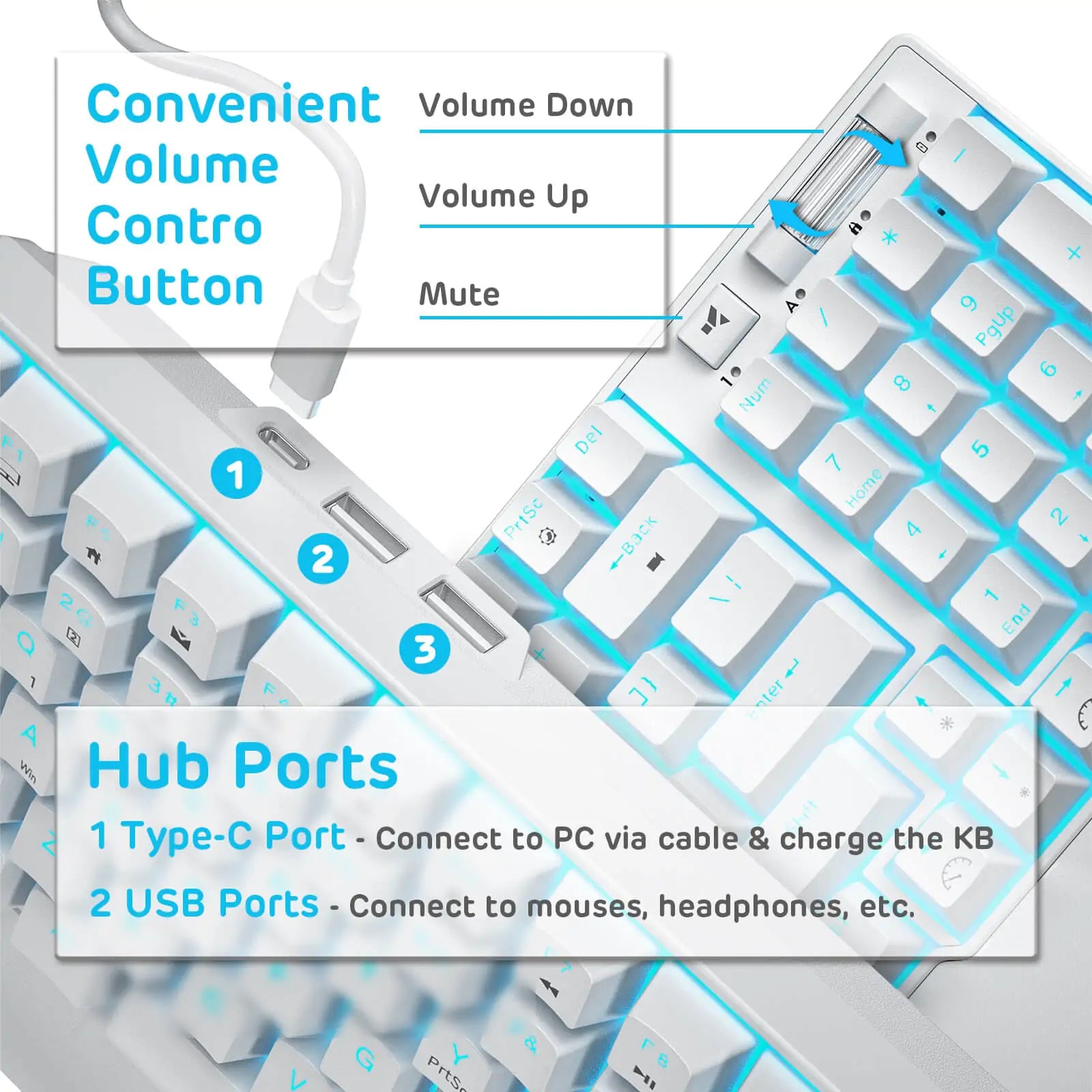 RK ROYAL KLUDGE RK96 90% 96 Keys BT5.0/2.4G/USB-C Hot Swappable Mechanical Keyboard with Magnetic Hand Rest, Blue Backlight, Red Switch