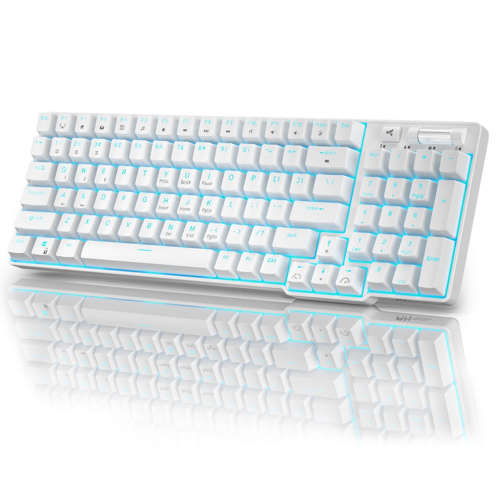 RK ROYAL KLUDGE RK96 90% 96 Keys BT5.0/2.4G/USB-C Hot Swappable Mechanical Keyboard with Magnetic Hand Rest, Blue Backlight, Red Switch