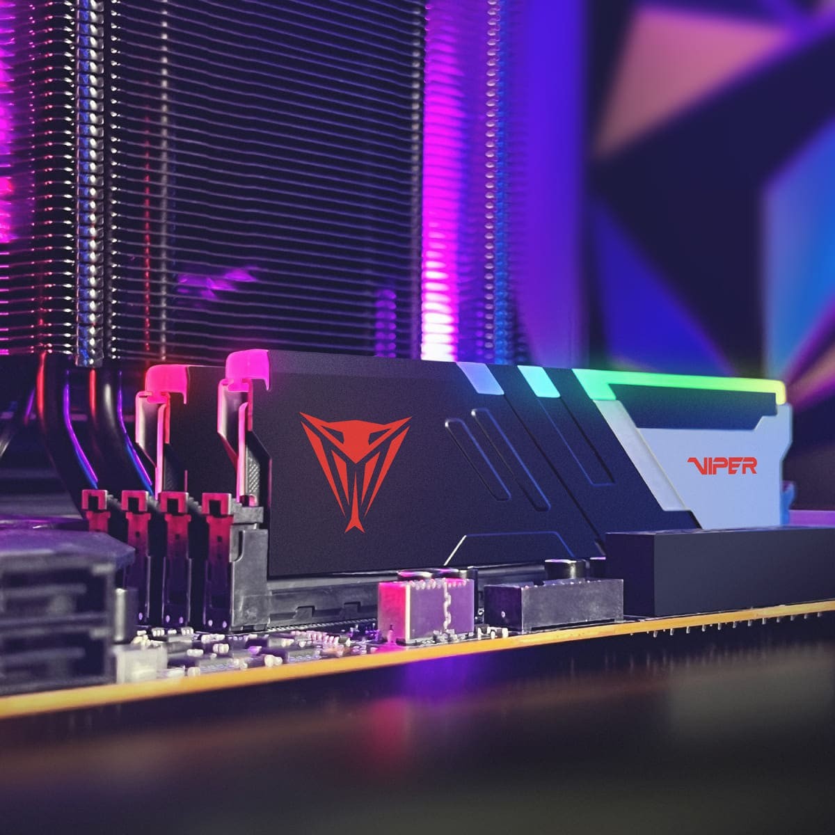 PATRIOT MEMORY VIPER VENOM DDR5 6000MT/s 48GB RGB  UDIMM Desktop Gaming Memory KIT CL30 - PVVR548G600C30K - Intel XMP 3.0 supported