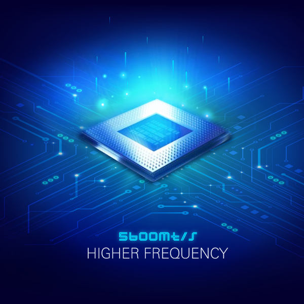 SP Silicon Power Upgrade 16GB DDR5 5600MHz CL46 1.1V SODIMM Laptop Notebook PC Computer RAM Memory Module