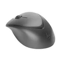 HP Wireless Premium Mouse