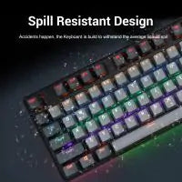 Gaming Keyboard Mechanical Keyboard 87 Keys Anti-Dust Red Switch Hot-swappable RGB LED Backlit Wired Computer Keyboard for Gamer Typists Office Home
