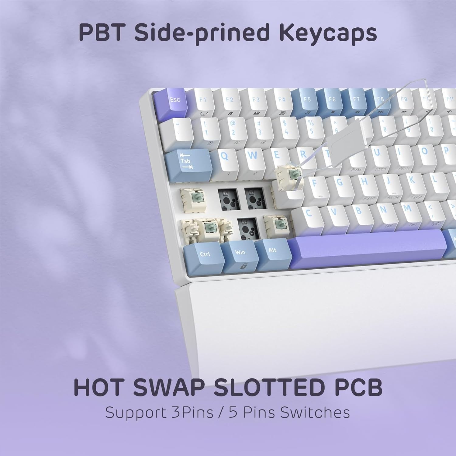 RK ROYAL KLUDGE Mechanical Keyboard RK96, RGB, 2.4Ghz/BT/Wired, Spring Rain Switches, White, Mixed Color