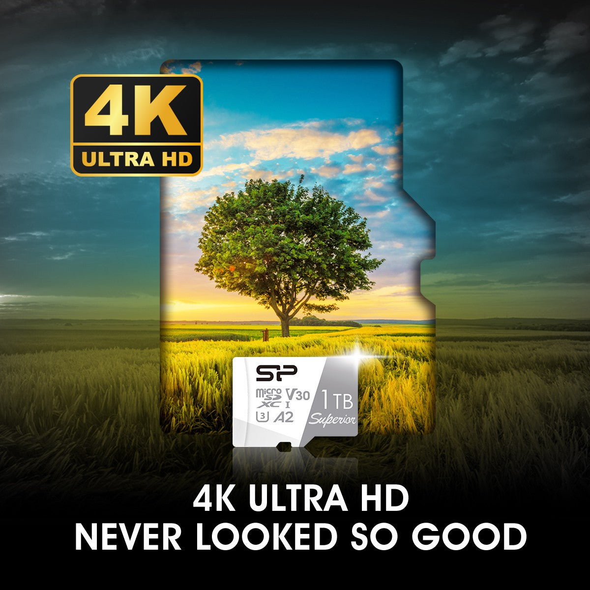 Silicon Power Superior 1TB V30 A2 4K/UHD with Adapter Micro SDXC