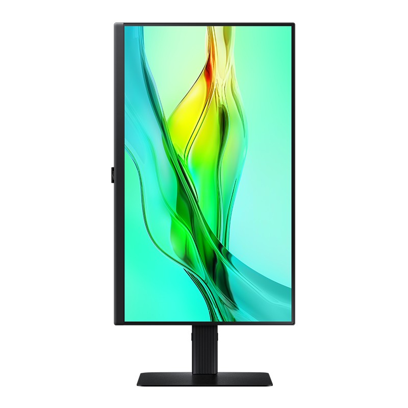 Samsung ViewFinity S60UD 24in QHD IPS 100Hz Monitor
