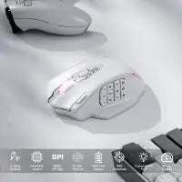 Rogue Gaming Mouse