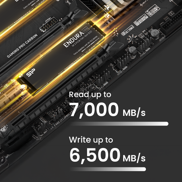 SP Silicon Power ES75 Endura 1TB 3D TLC NAND with SLC Cache, Gen4x4 SSD M.2 2280, High Endurance Grade Up to 7,000MB/s, Internal SSD
