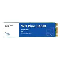 Western Digital Blue SA510 1TB M.2 2280 SATA III SSD (WDS100T3B0B)